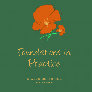 foundations in practice