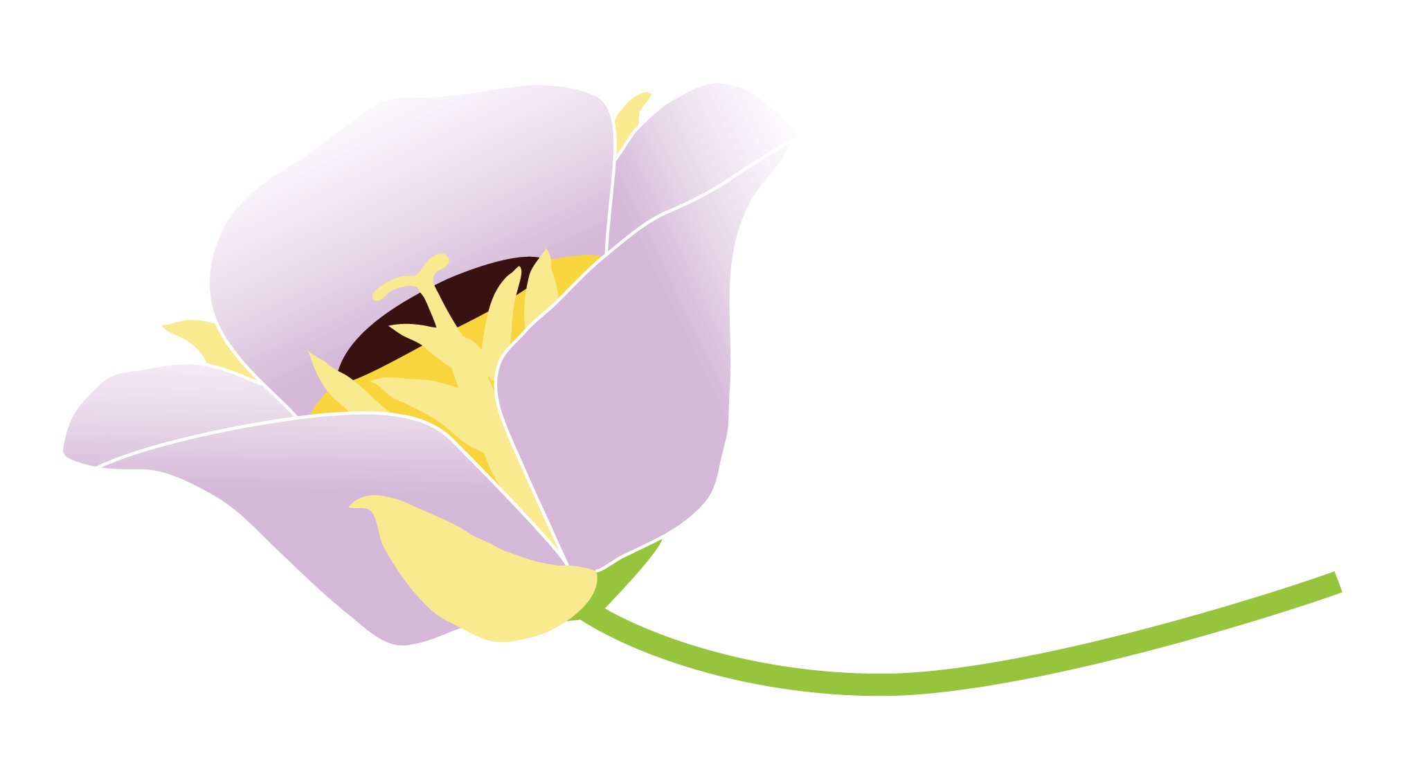 Build Nurture Restore